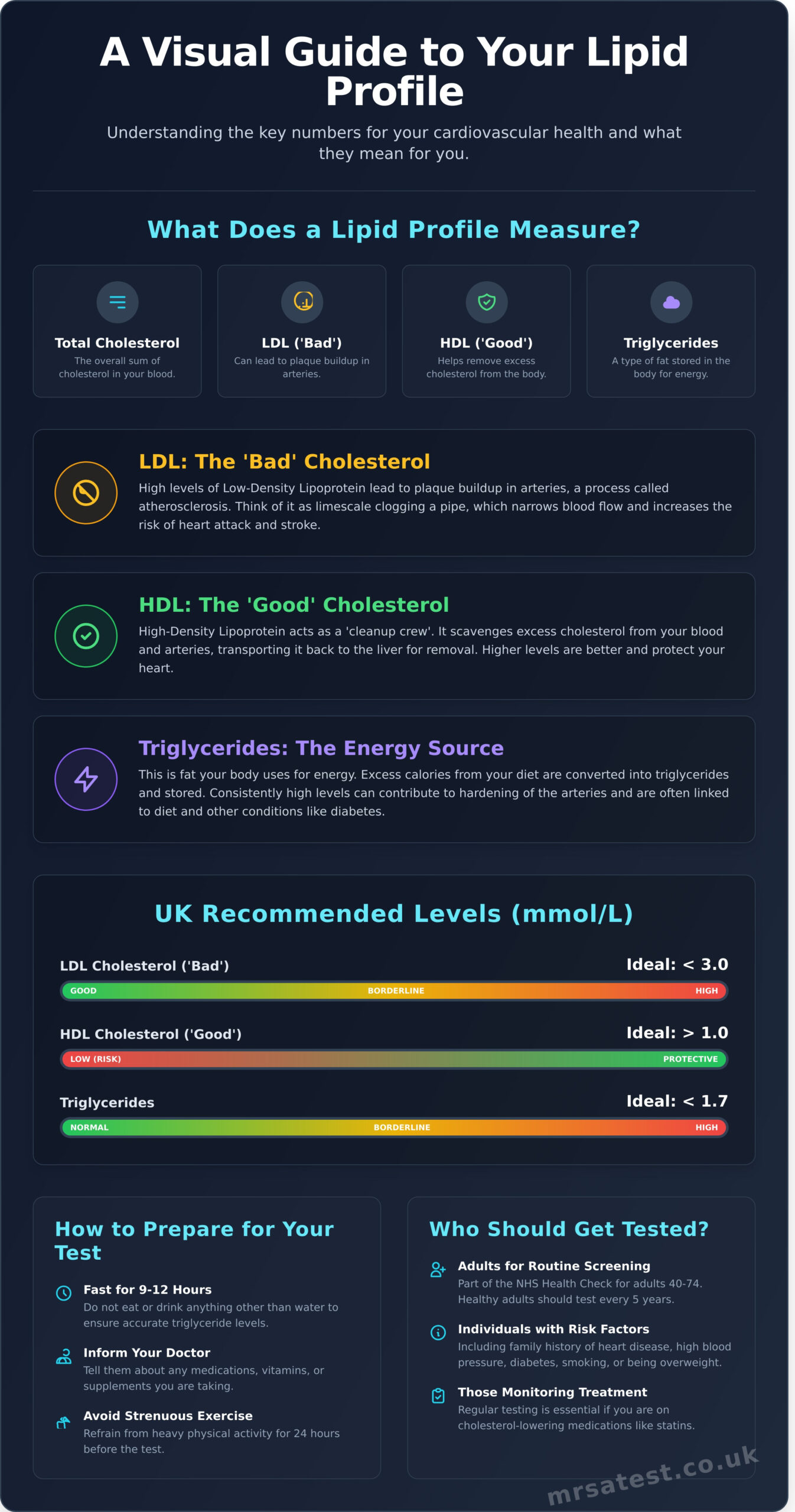 Understanding a Lipid Profile Blood Test: A Simple Guide - Infographic