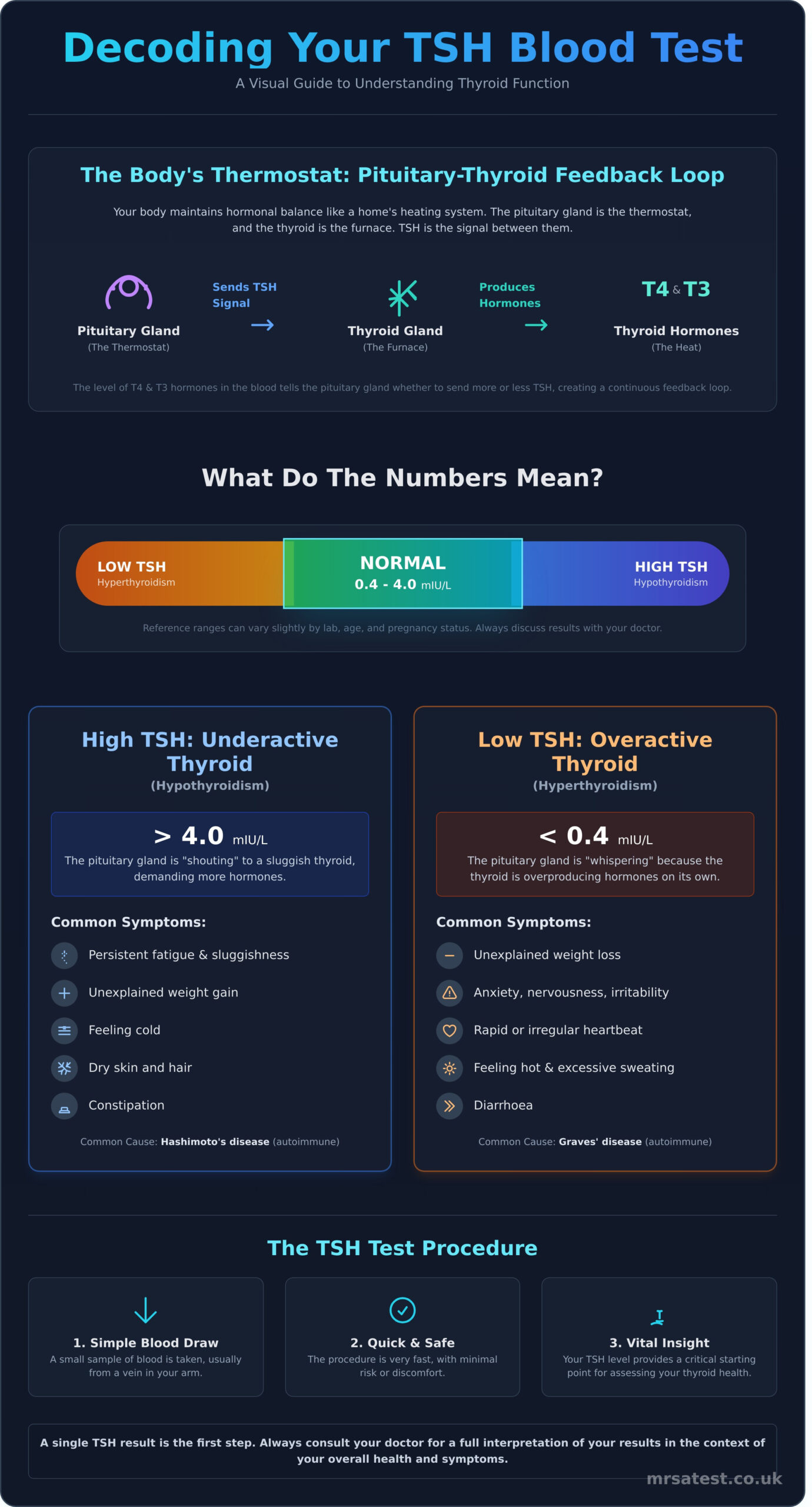 What is a TSH Blood Test? A Clear Guide to Thyroid Function - Infographic