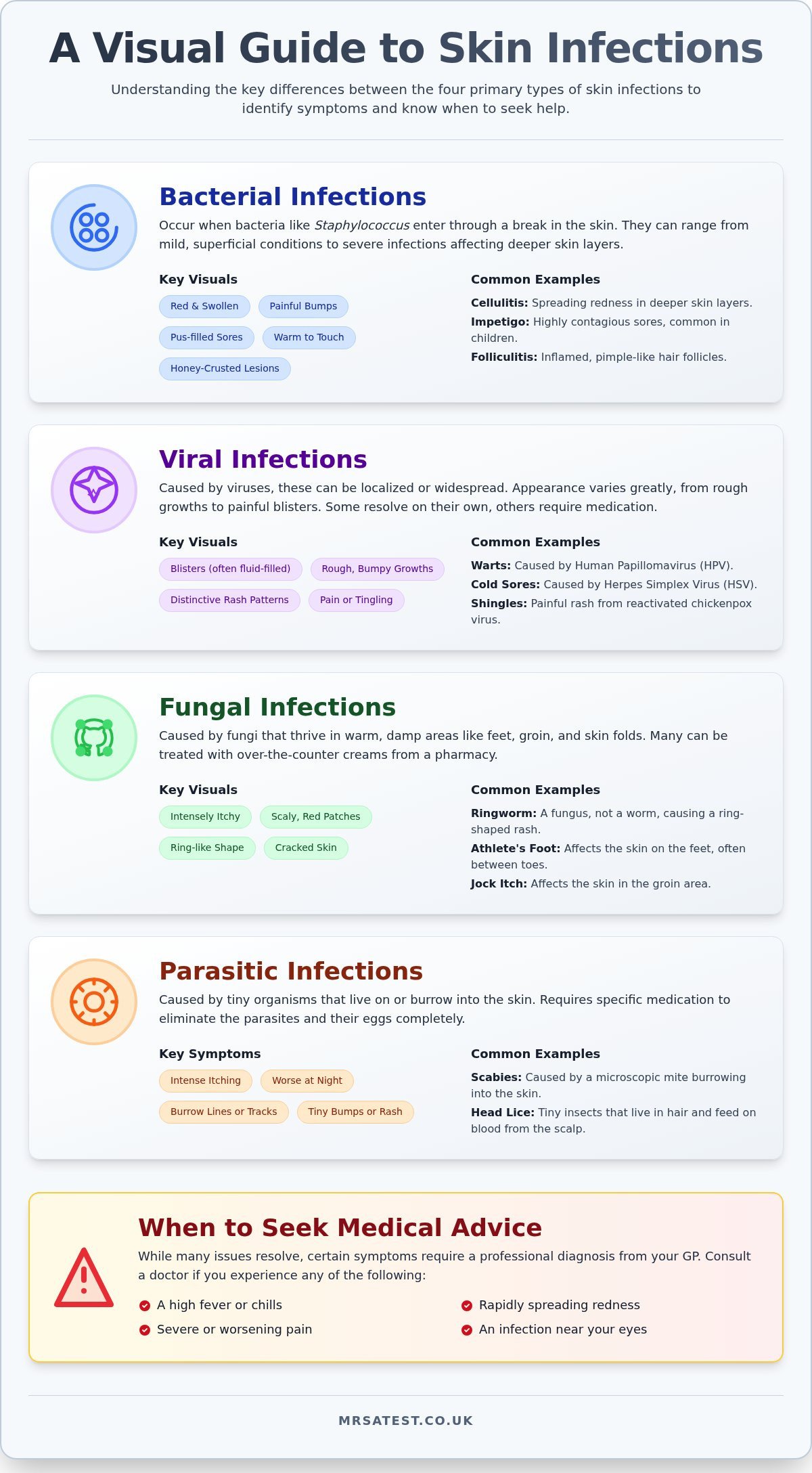 A Visual Guide to Common Skin Infections: Types, Symptoms & When to See a Doctor