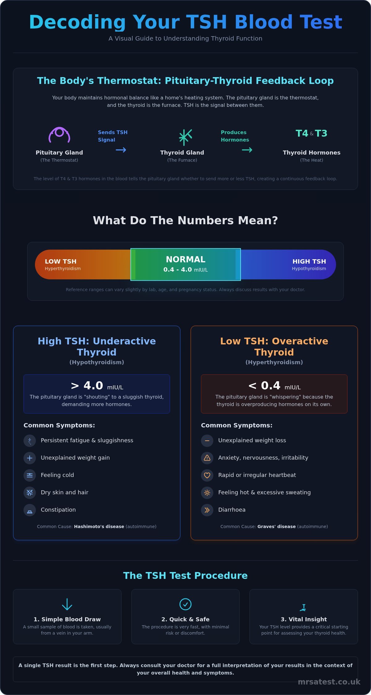 What is a TSH Blood Test? A Clear Guide to Thyroid Function